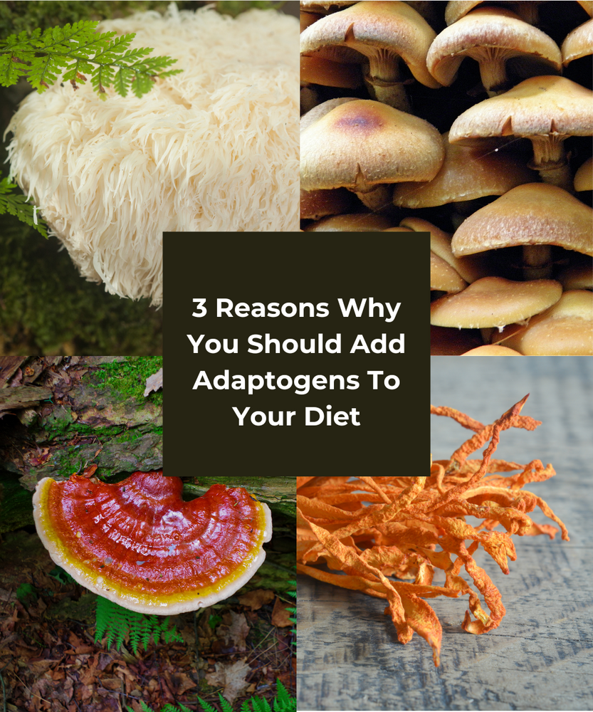 3 Reasons Why You Should Add Adaptogens To Your Diet