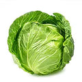 Cabbage