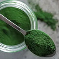 Chlorella
