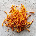 Cordyceps