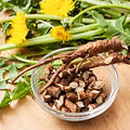 Dandelion Root