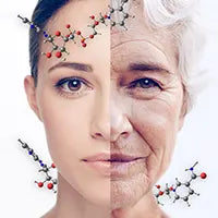 <b>Longevity & Anti-Aging:</b> sulforaphane (broccoli sprouts), chlorella, reishi.