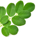 Moringa Leaf