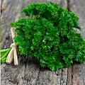 Parsley