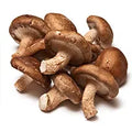 Shitake